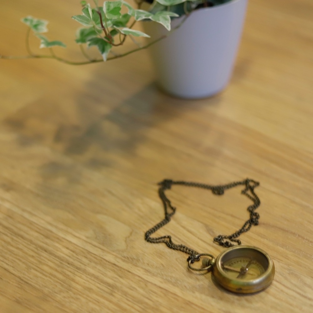 Vintage Compass necklace
